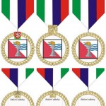 AZ 151 Návrhy varianty medaile různý rub a líc
