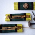 Miniaturka medaile vyznamenání Para Vimperk